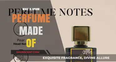 Opium Perfume: Its Magical Ingredients and Aromas