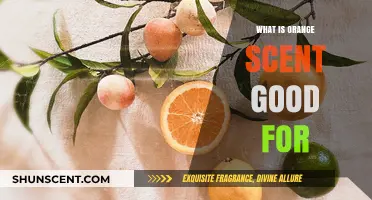 Orange Scent Benefits: Enhancing Mood, Health, and Daily Life Naturally