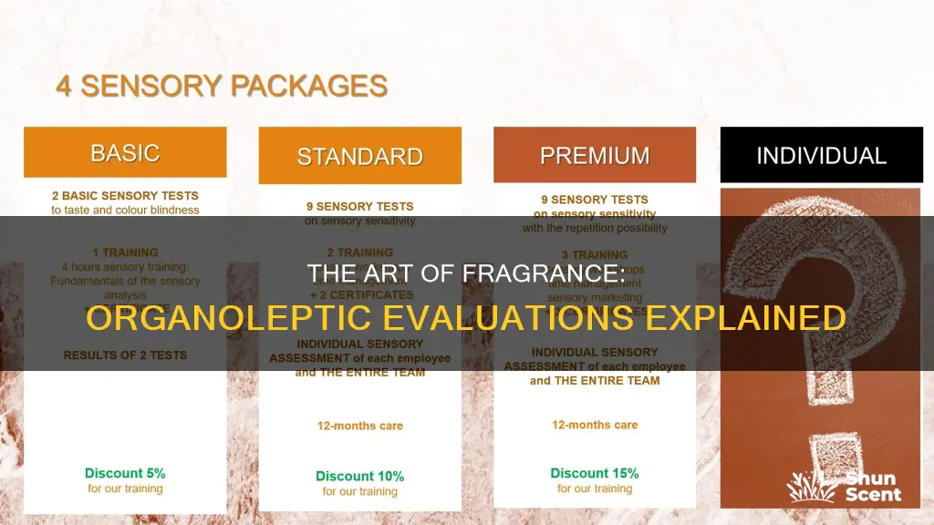 what is organoleptic fragrance evaluations