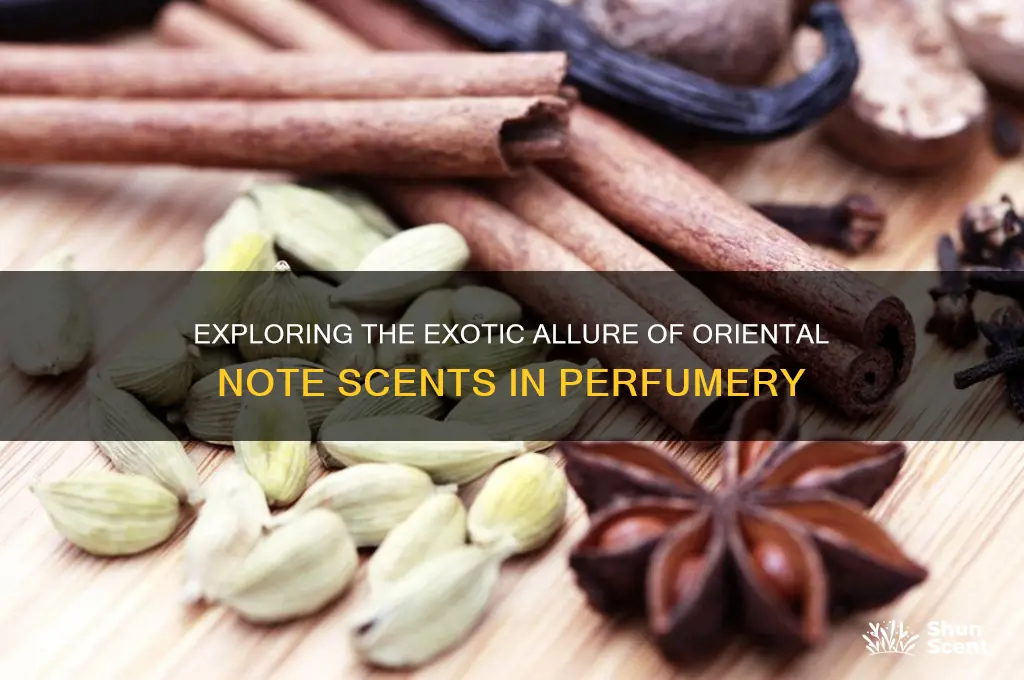 what is oriental note scent