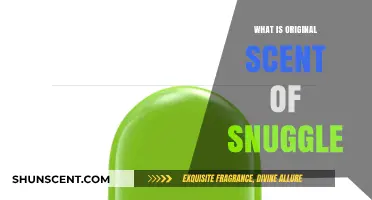 Unveiling Snuggle's Original Scent: A Cozy, Fresh, and Familiar Aroma
