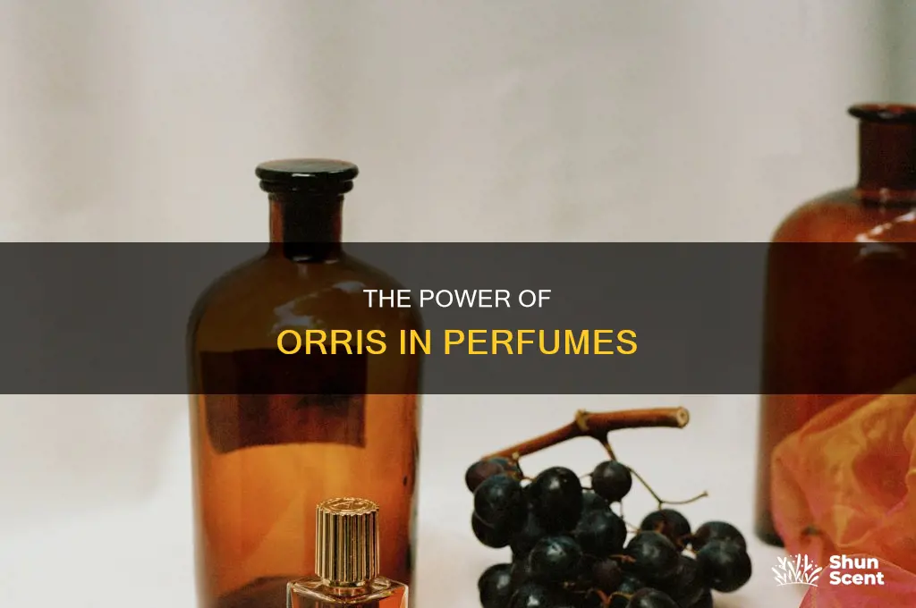 what is orris in perfume