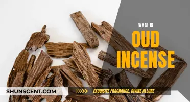 Oud Incense: Ancient Aromas Explained