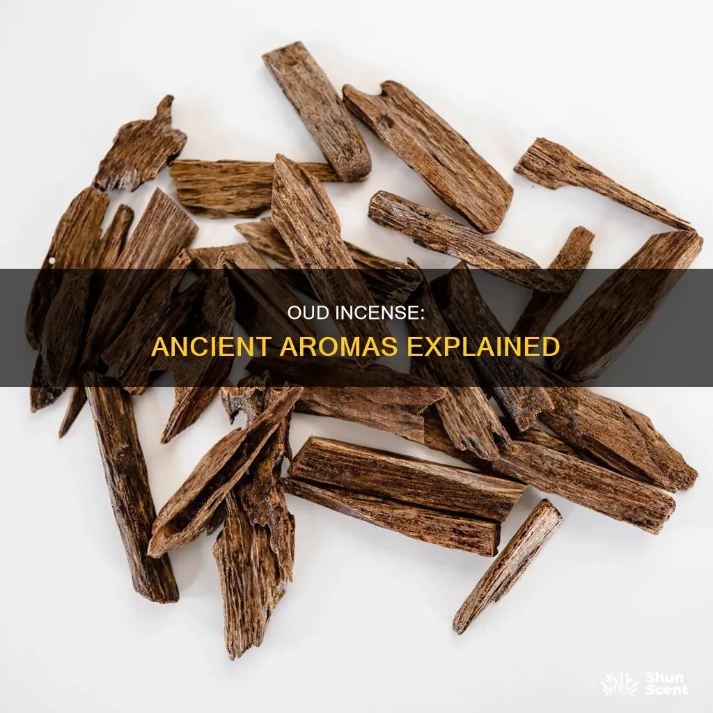 what is oud incense