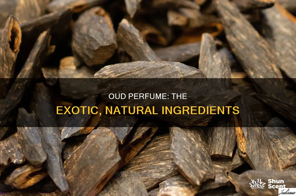 what is oud perfume made from