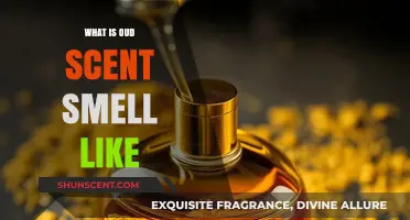Exploring the Rich, Earthy, and Mystical Aroma of Oud Scent
