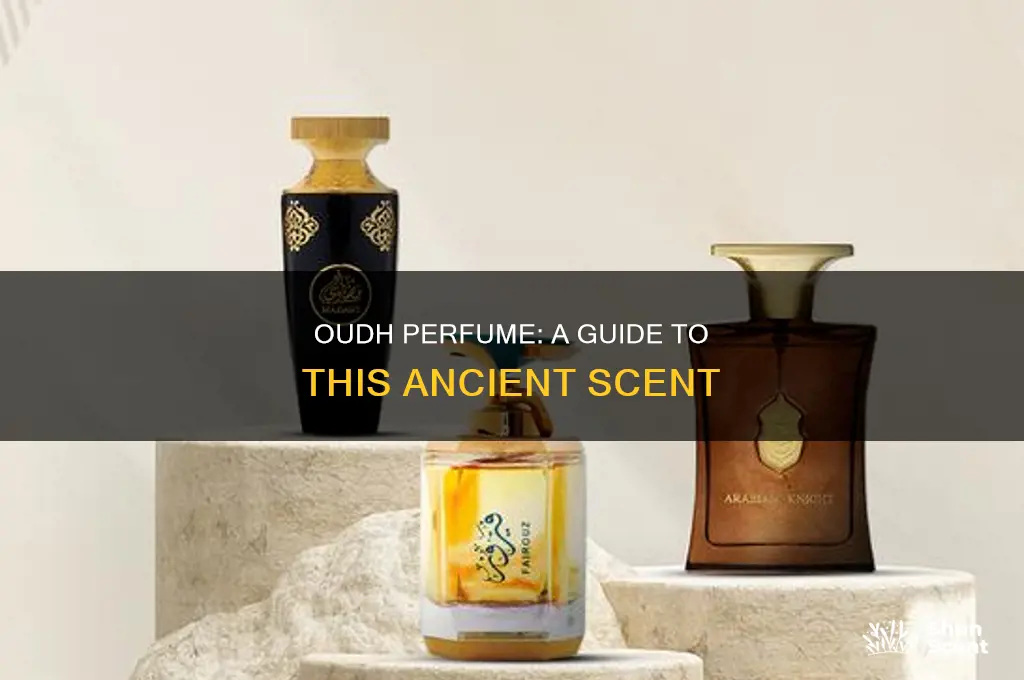 what is oudh perfume