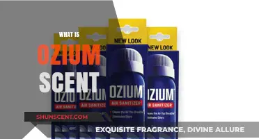 Exploring the Unique and Powerful Aroma of Ozium Scent