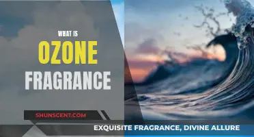 The Ozone Fragrance: A Fresh, Clean Scent