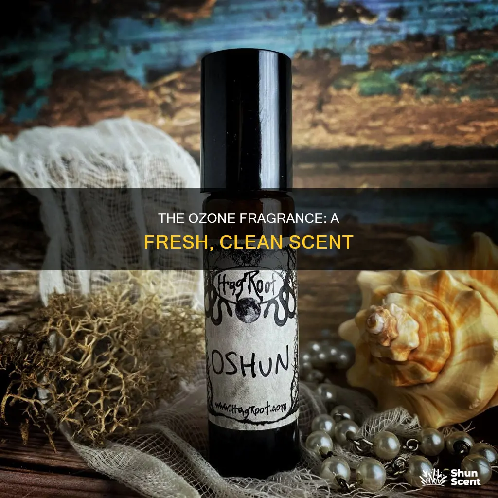 what is ozone fragrance