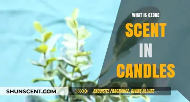 Understanding the Unique Ozone Scent in Candles: Origins and Appeal