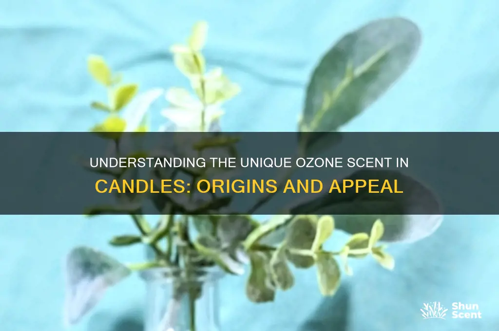 what is ozone scent in candles