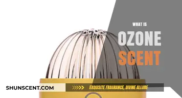 Unveiling the Unique Aroma: Understanding the Ozone Scent Phenomenon