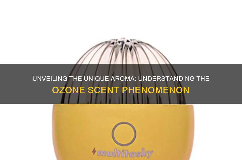 what is ozone scent