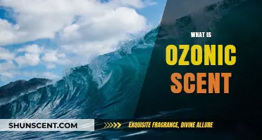 Exploring the Crisp, Clean, and Refreshing World of Ozonic Scents