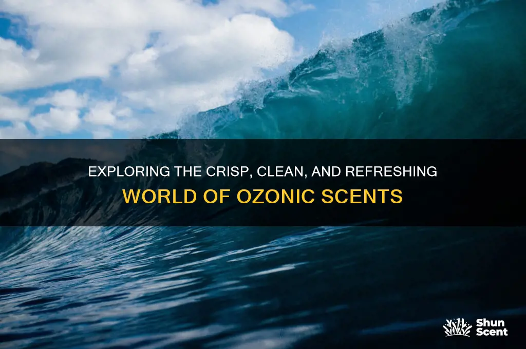 what is ozonic scent