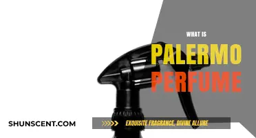 Explore the Fragrance Notes of Palermo Perfumes