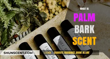 Exploring the Unique and Exotic Aroma of Palm Bark Scent