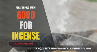Palo Santo Incense: Benefits and Uses