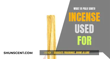 The Many Uses of Palo Santo Incense