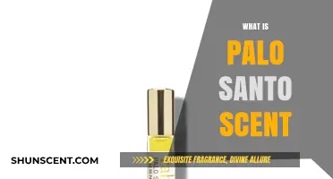 Discover the Mystical Aroma: Understanding Palo Santo's Unique Scent