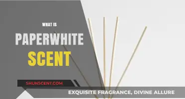 Exploring the Delicate and Fresh Aroma of Paperwhite Scent
