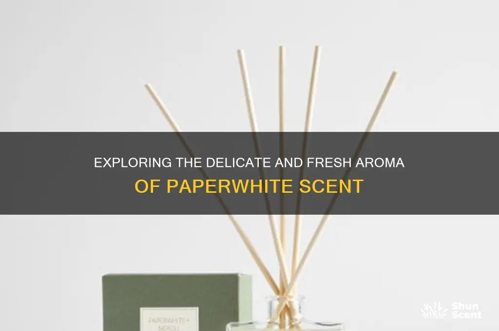 what is paperwhite scent