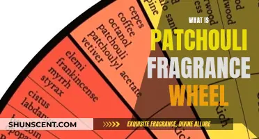 The Patchouli Fragrance Wheel: A Comprehensive Guide