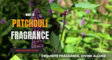 The Alluring Patchouli Fragrance: Its Unique Scent and Uses