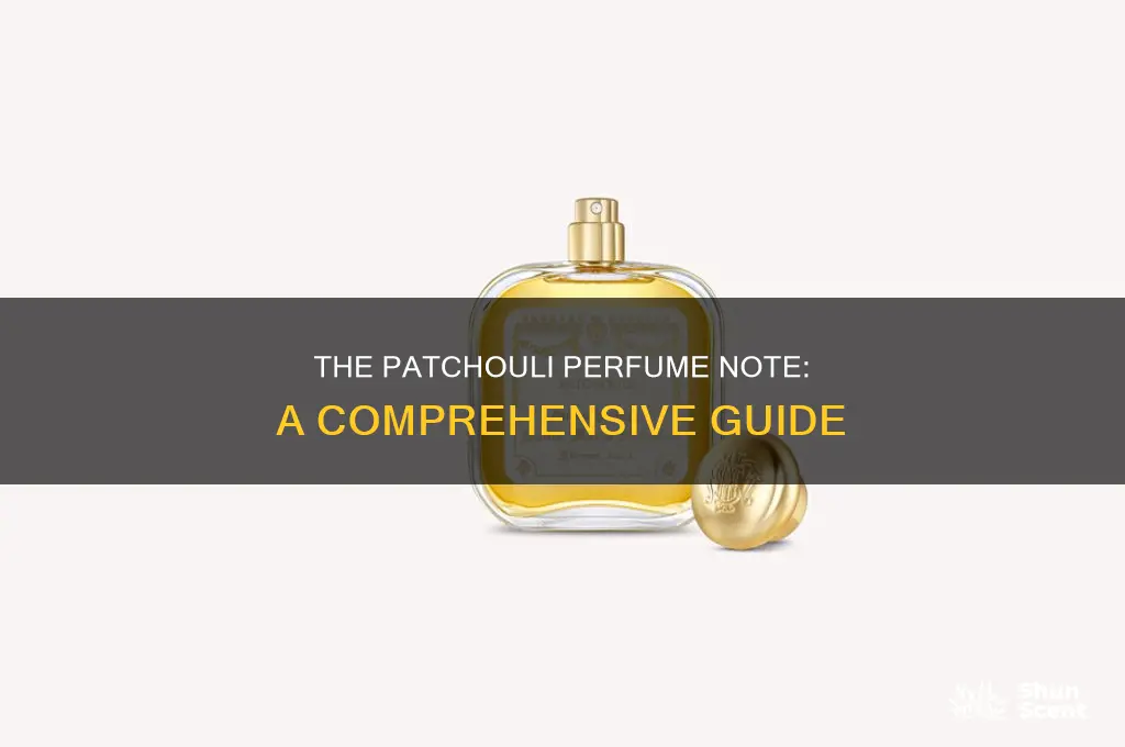 what is patchouli in perfume
