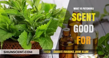 Patchouli Scent Benefits: Uses, Aromatherapy, and Wellness Applications