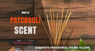 Exploring Patchouli: Unveiling the Earthy, Mystical Aroma and Its Allure