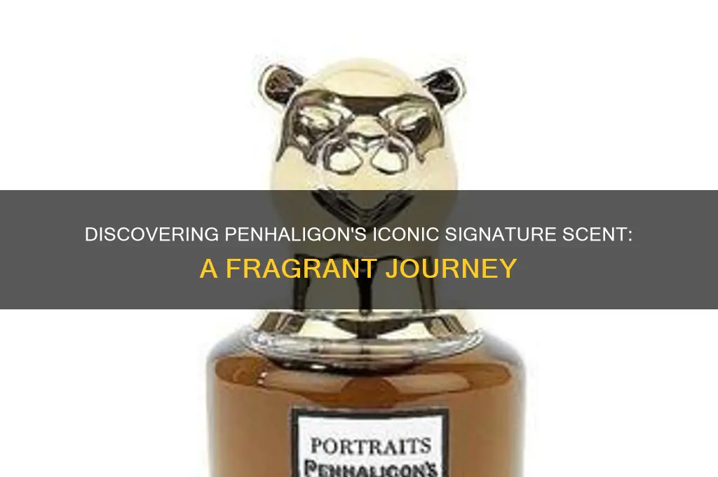 what is penhaligon