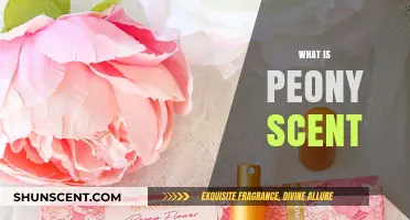Discover the Enchanting Aroma of Peony: A Fragrant Journey