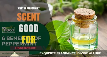 Peppermint Scent Benefits: Uses, Remedies, and Aromatherapy Applications