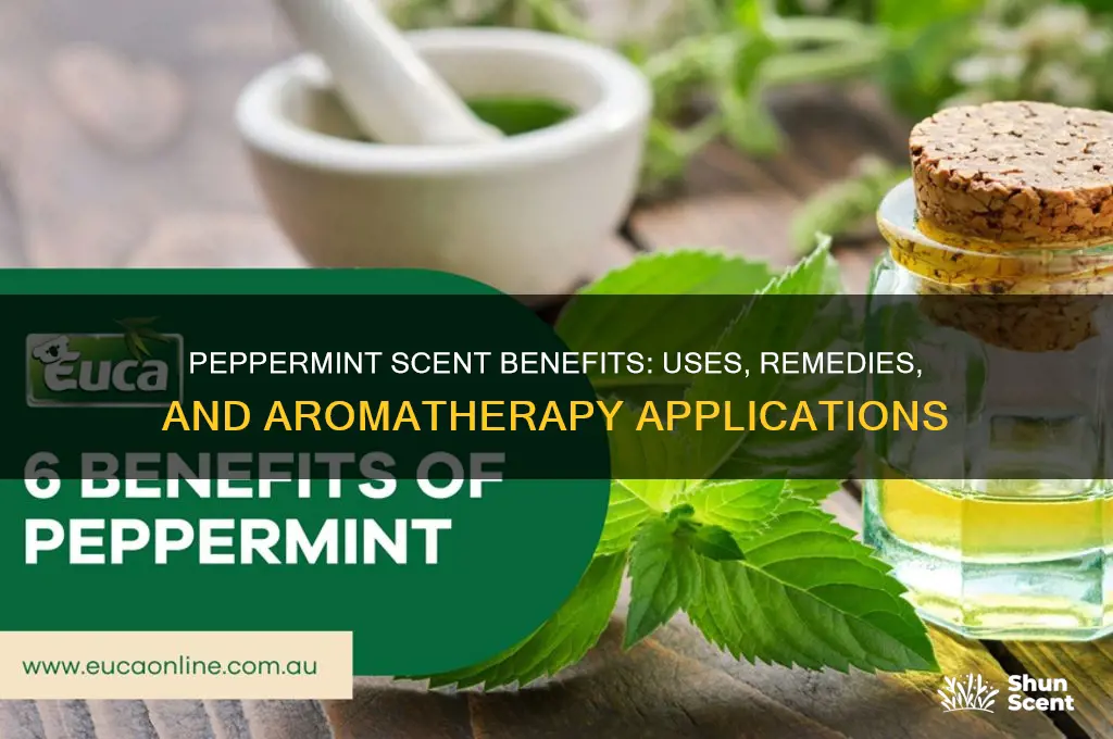 what is peppermint scent good for
