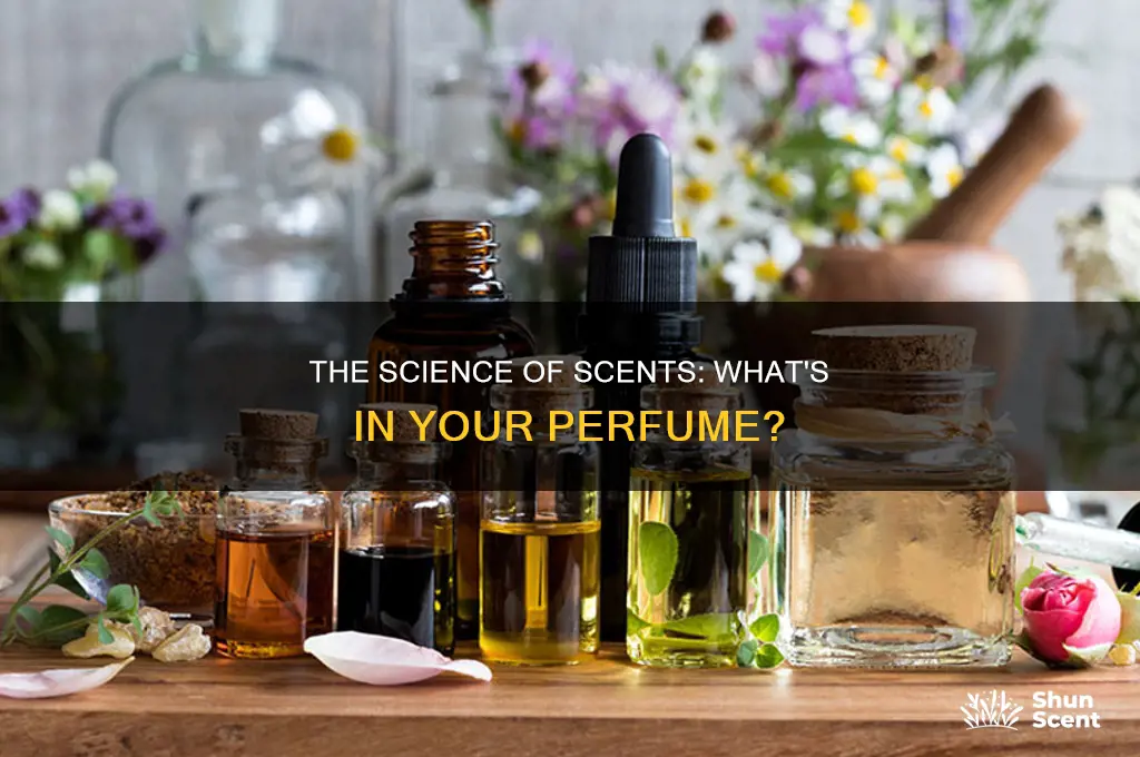 what is perfum made of