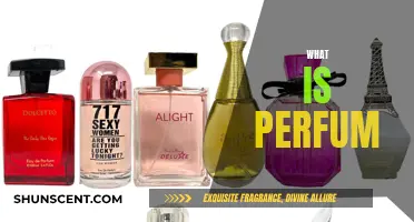 The Alluring Art of Perfume: A Beginner's Guide