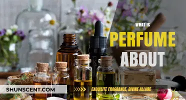 The Art of Perfume: A Beginner's Guide