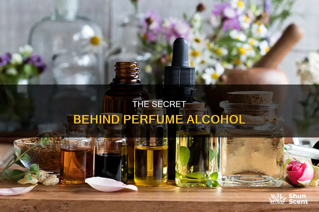 what is perfume alcohol