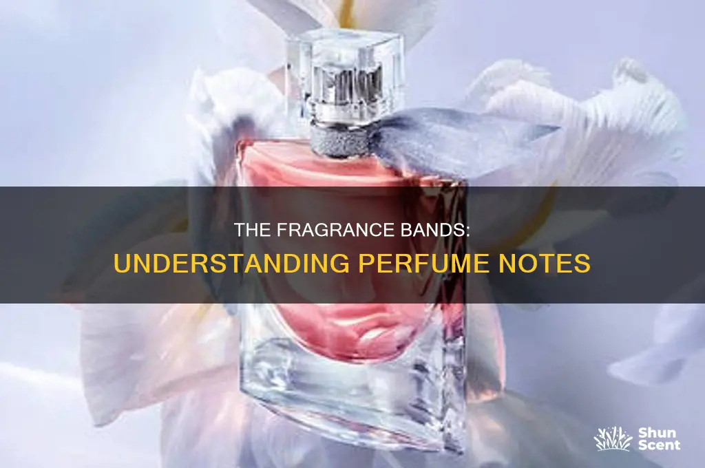 what is perfume band