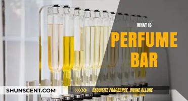Explore the World of Perfume Bars