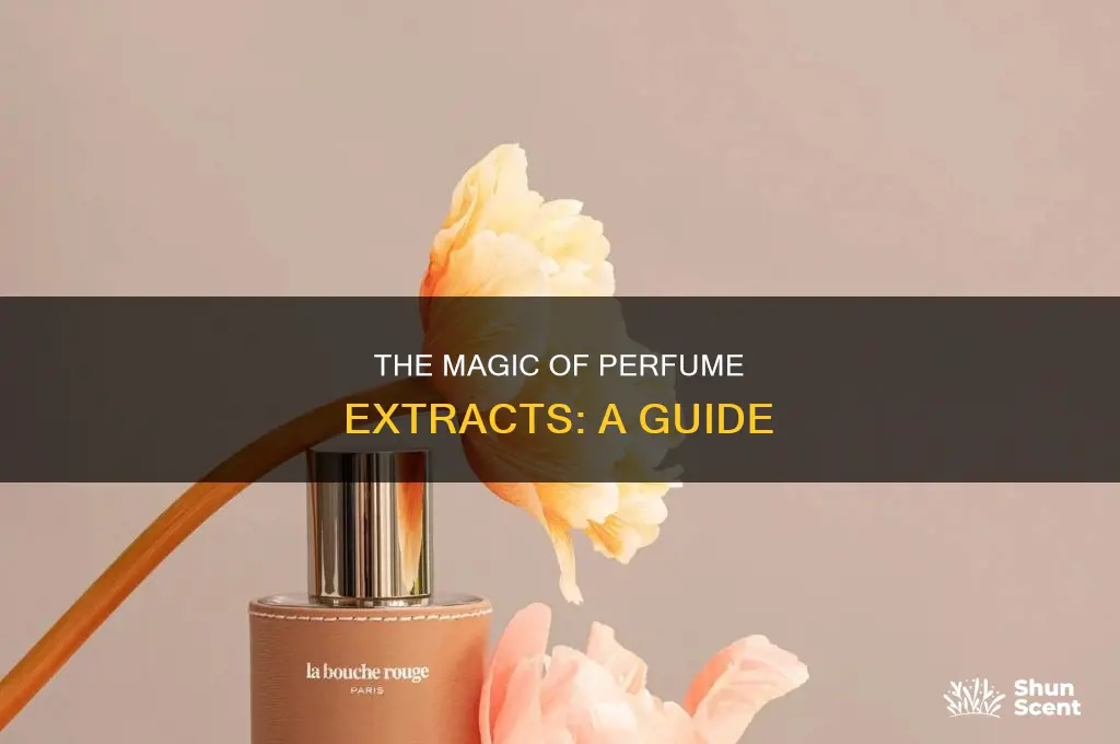 what is perfume extract