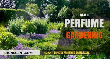 Scented Bliss: Discovering the Art of Perfume Gardening