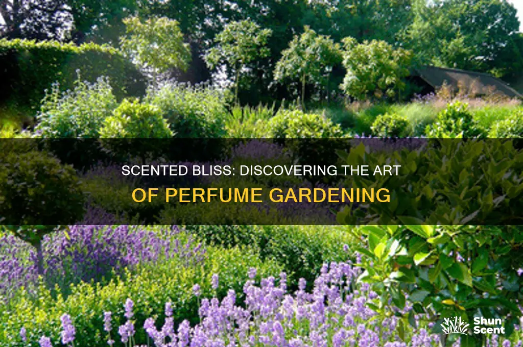 what is perfume gardening