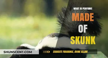 The Skunk's Secret: Perfume's Key Ingredient