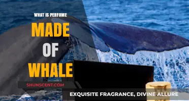 The Secret of Whale-Based Perfumes