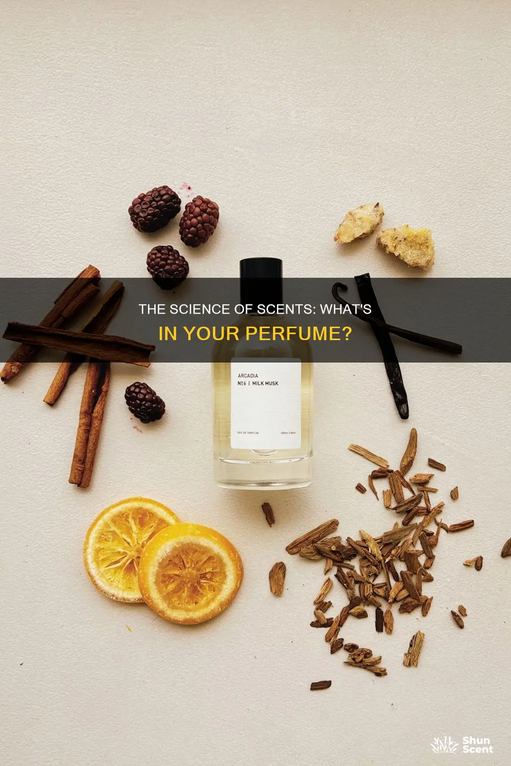 what is perfume made of
