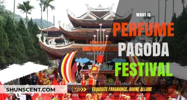 Explore the Perfume Pagoda Festival's Traditions