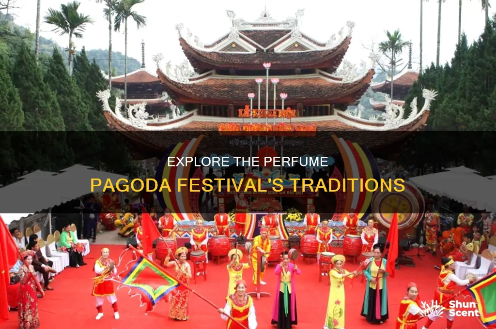 what is perfume pagoda festival